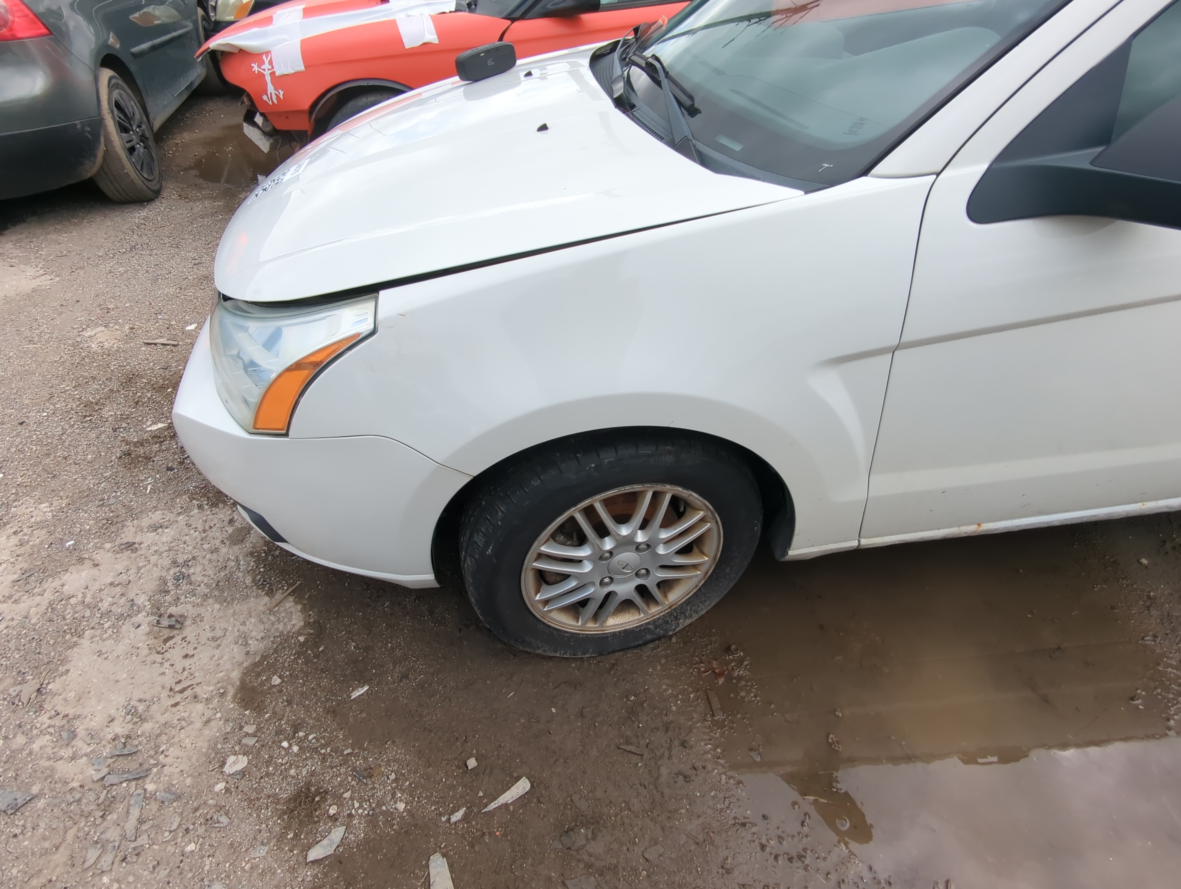 Picture of 2008-2009 Ford Focus Driver Fender 874619