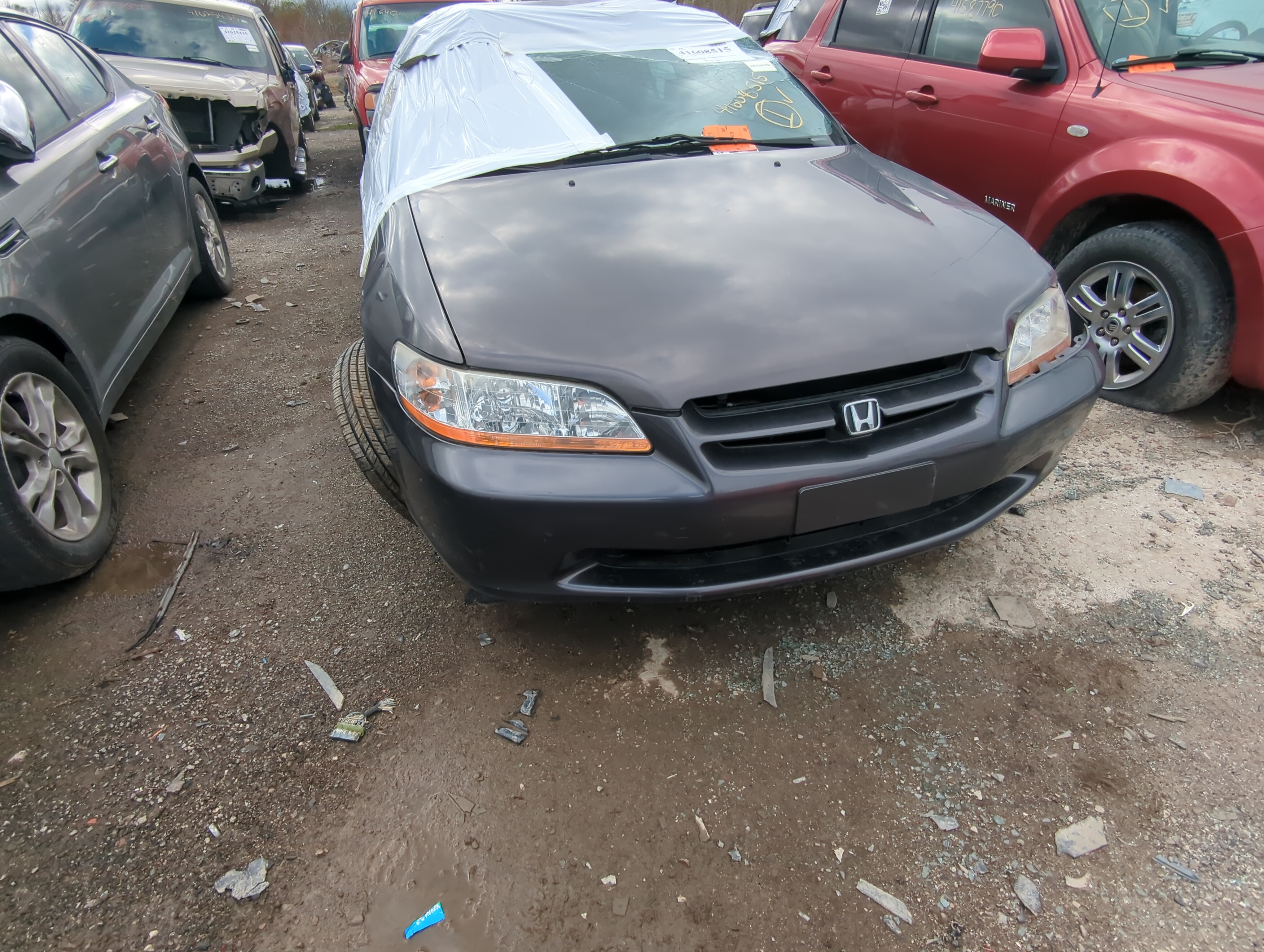 Picture of 1998-2000 Honda Accord Front Bumper - Oem 875061