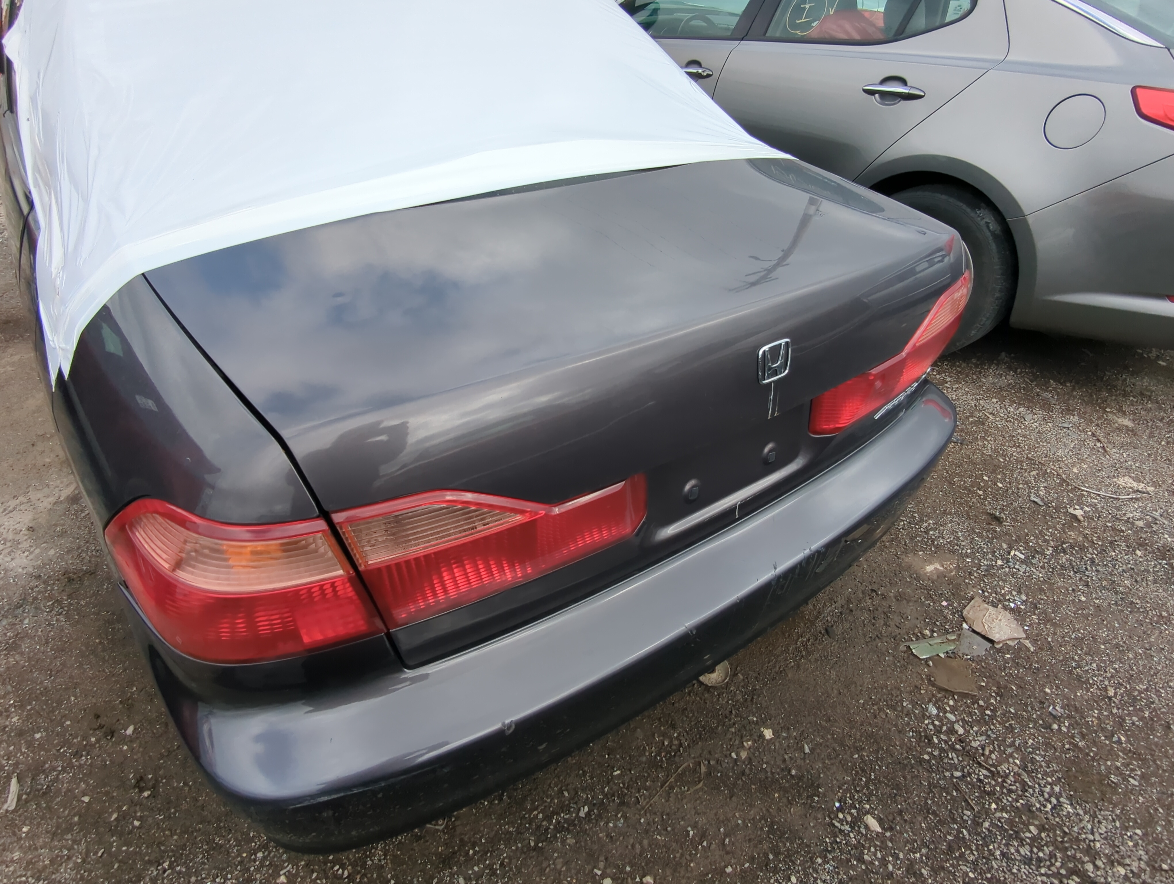 1998-2000 Honda Accord Trunk/decklid/hatch/tailgate Oem 875072 - Oemusedautoparts1.com