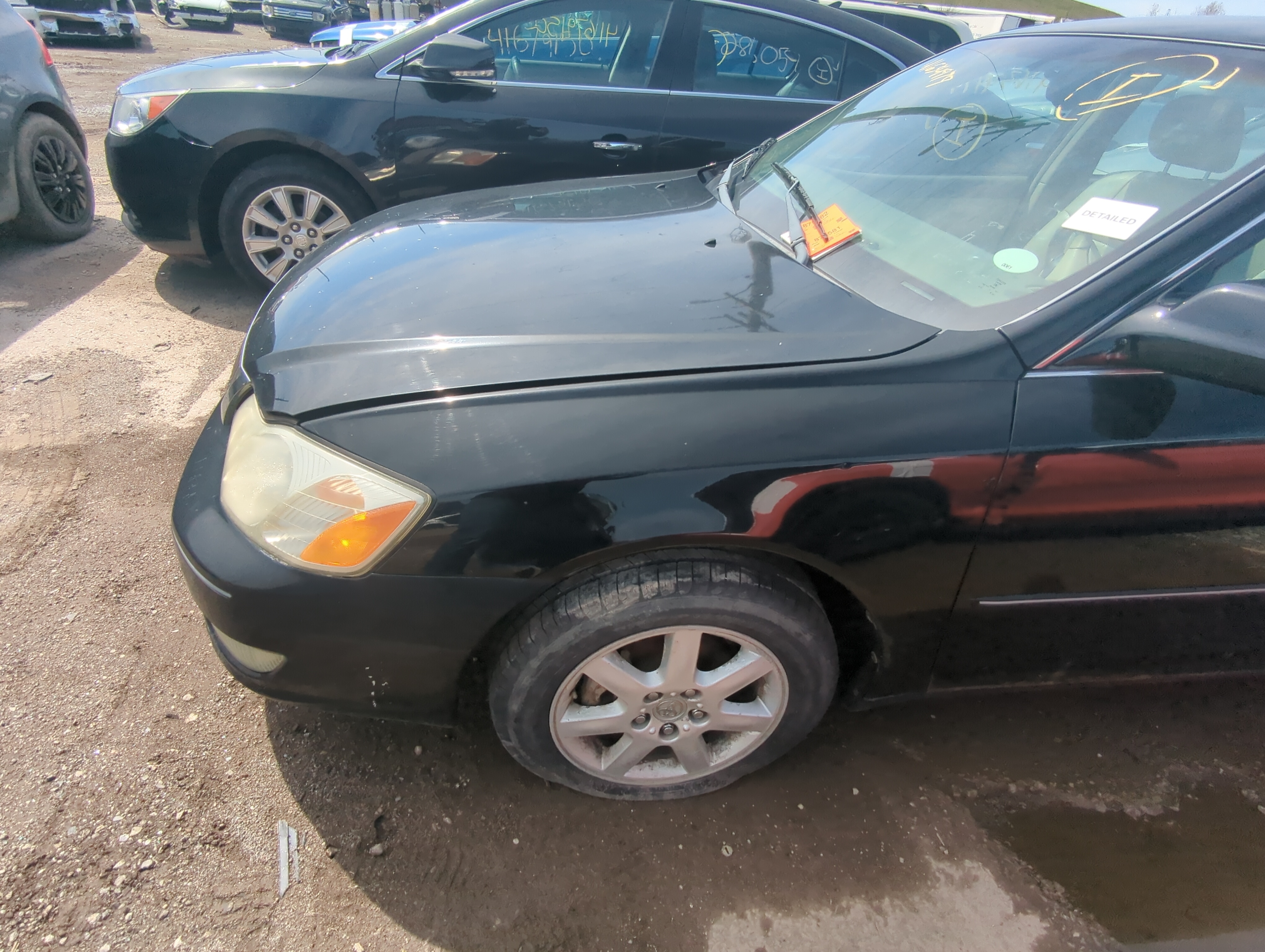Picture of 2000-2004 Toyota Avalon Driver Front Door Oem 876186