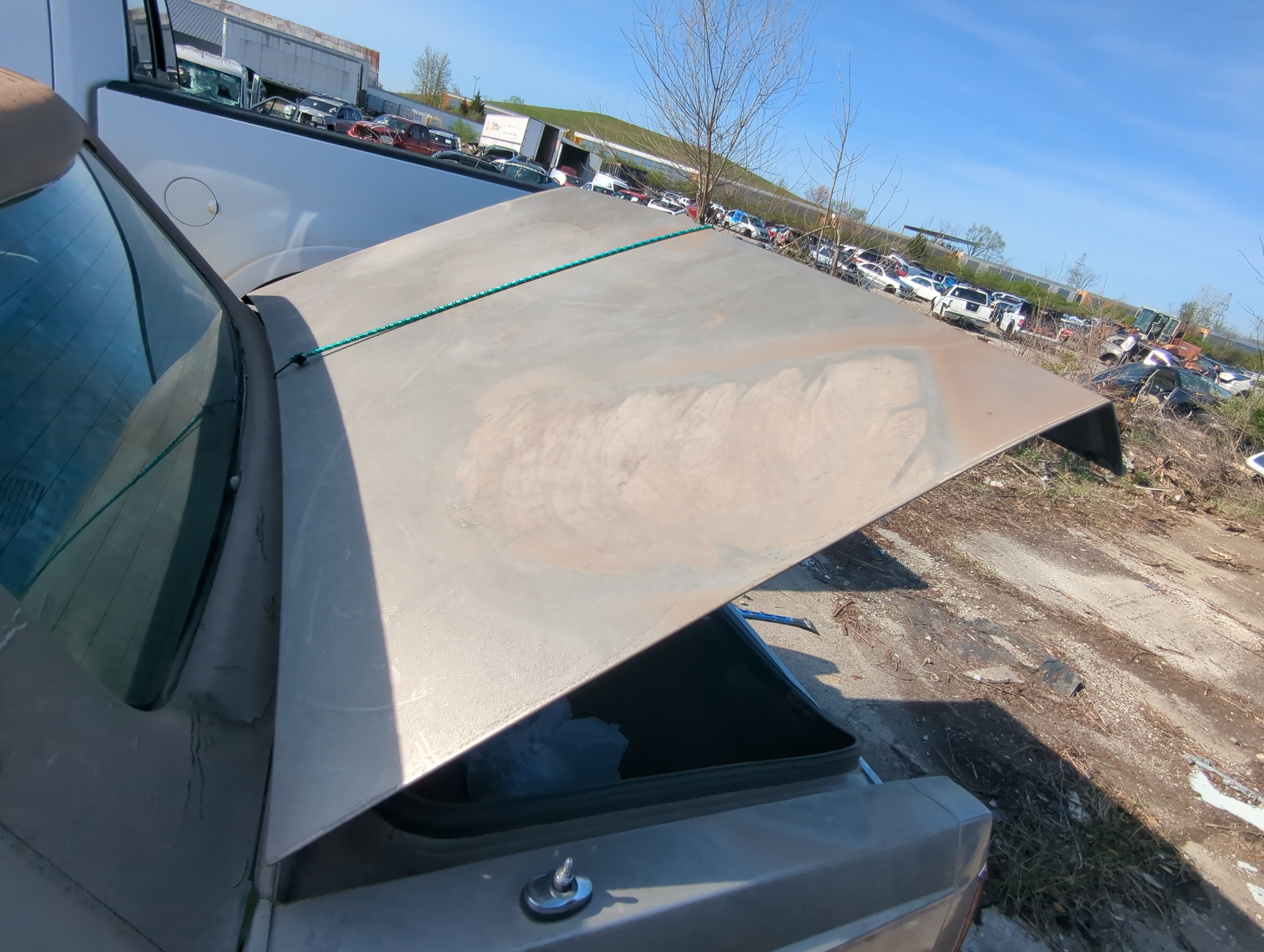 1989 Lincoln Town Car Trunk/decklid/hatch/tailgate Oem 879025 - Oemusedautoparts1.com