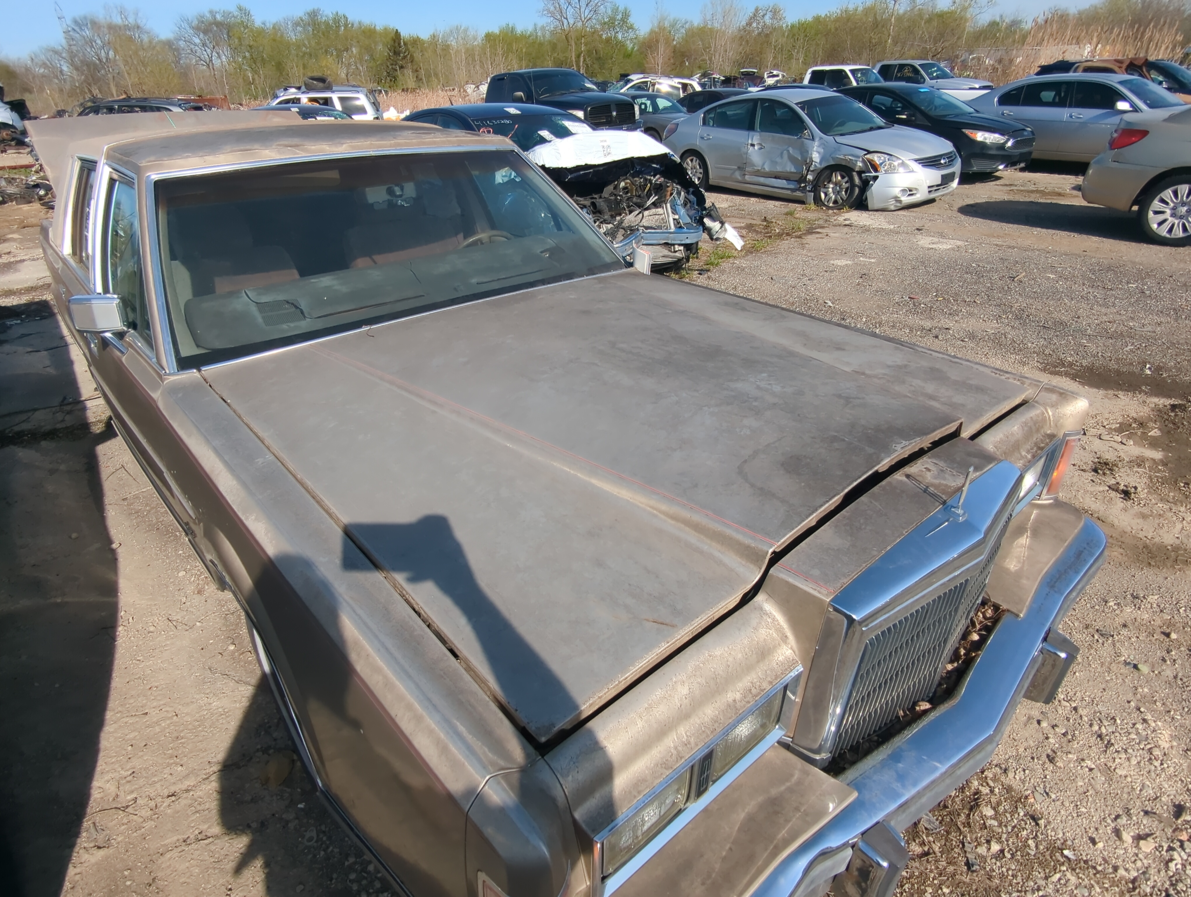 1989 Lincoln Town Car Hood Oem 879091 - Oemusedautoparts1.com