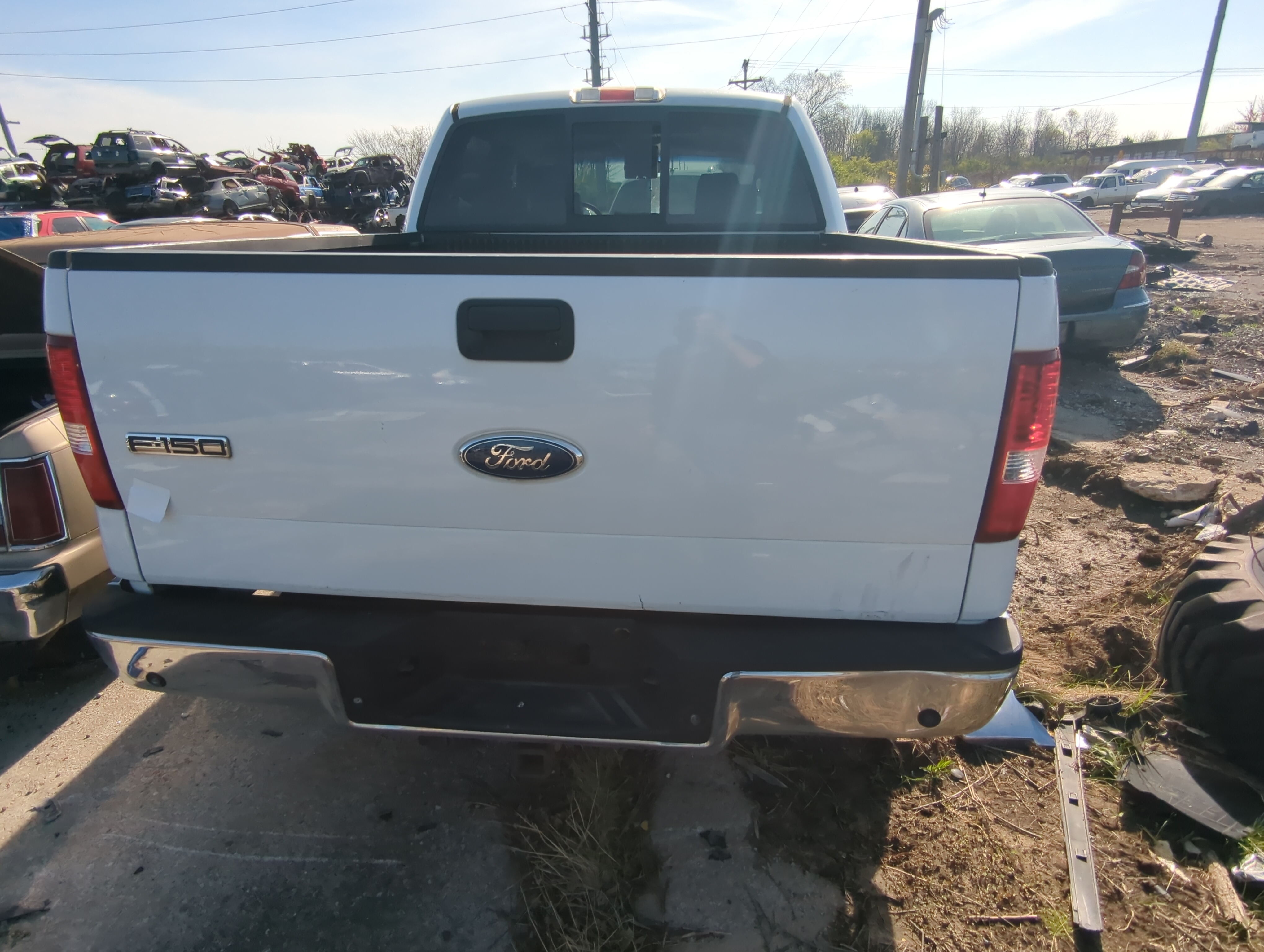Ford Ford F150 Pickup Trunk/decklid/hatch/tailgate Oem 879160 - Oemusedautoparts1.com