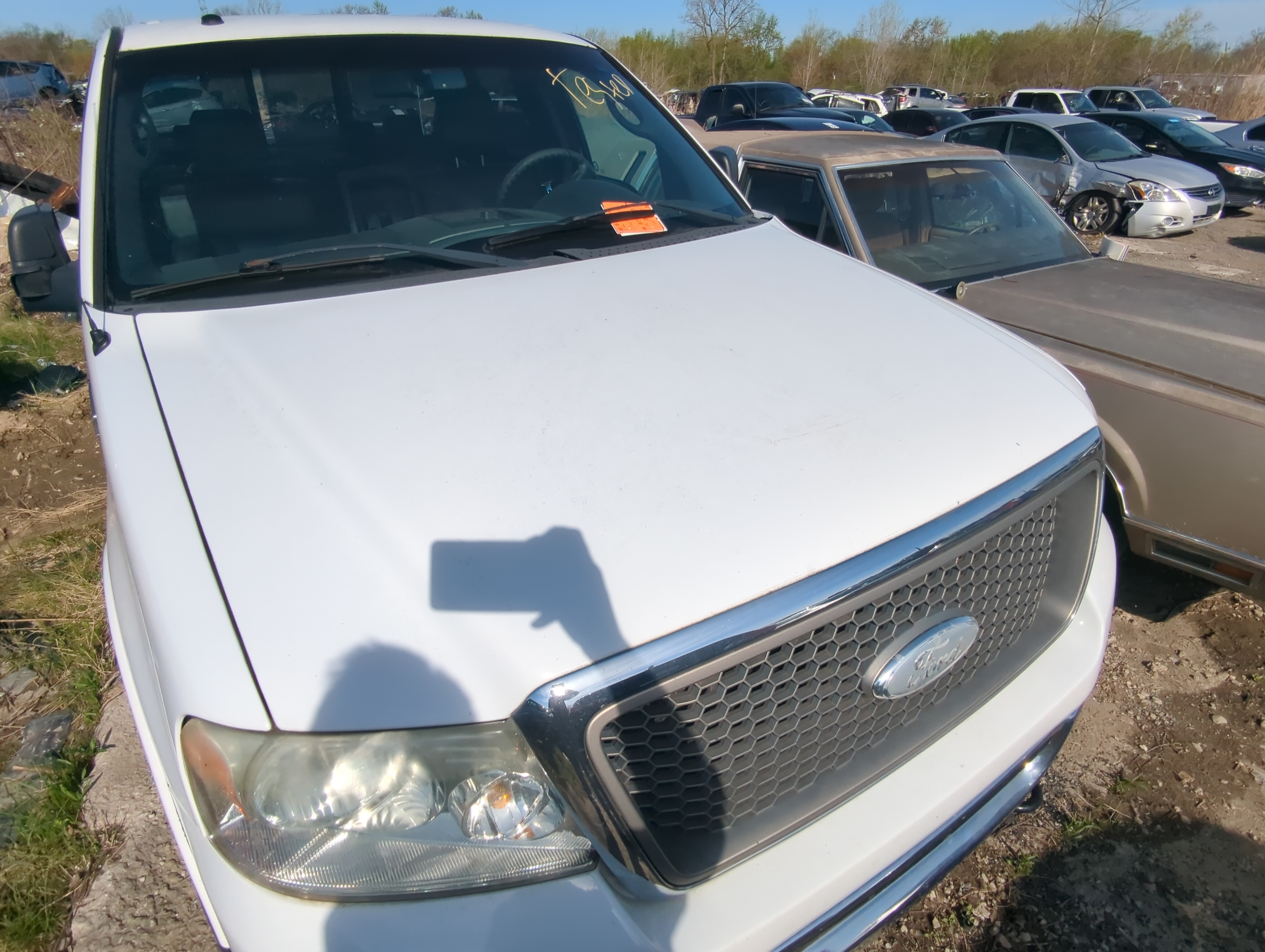 Ford Ford F150 Pickup Hood Oem 879198 - Oemusedautoparts1.com