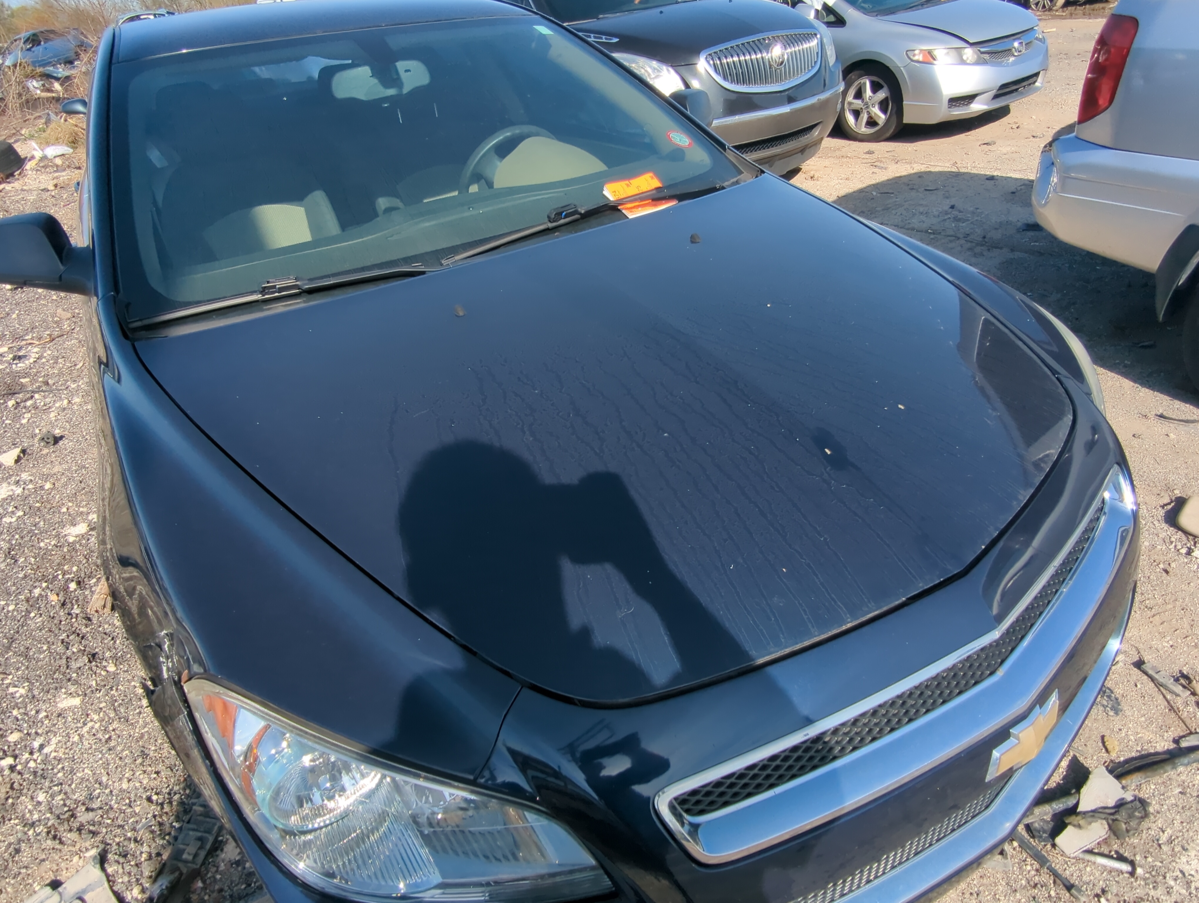 Picture of 2012 Chevrolet Malibu Hood Oem 879981