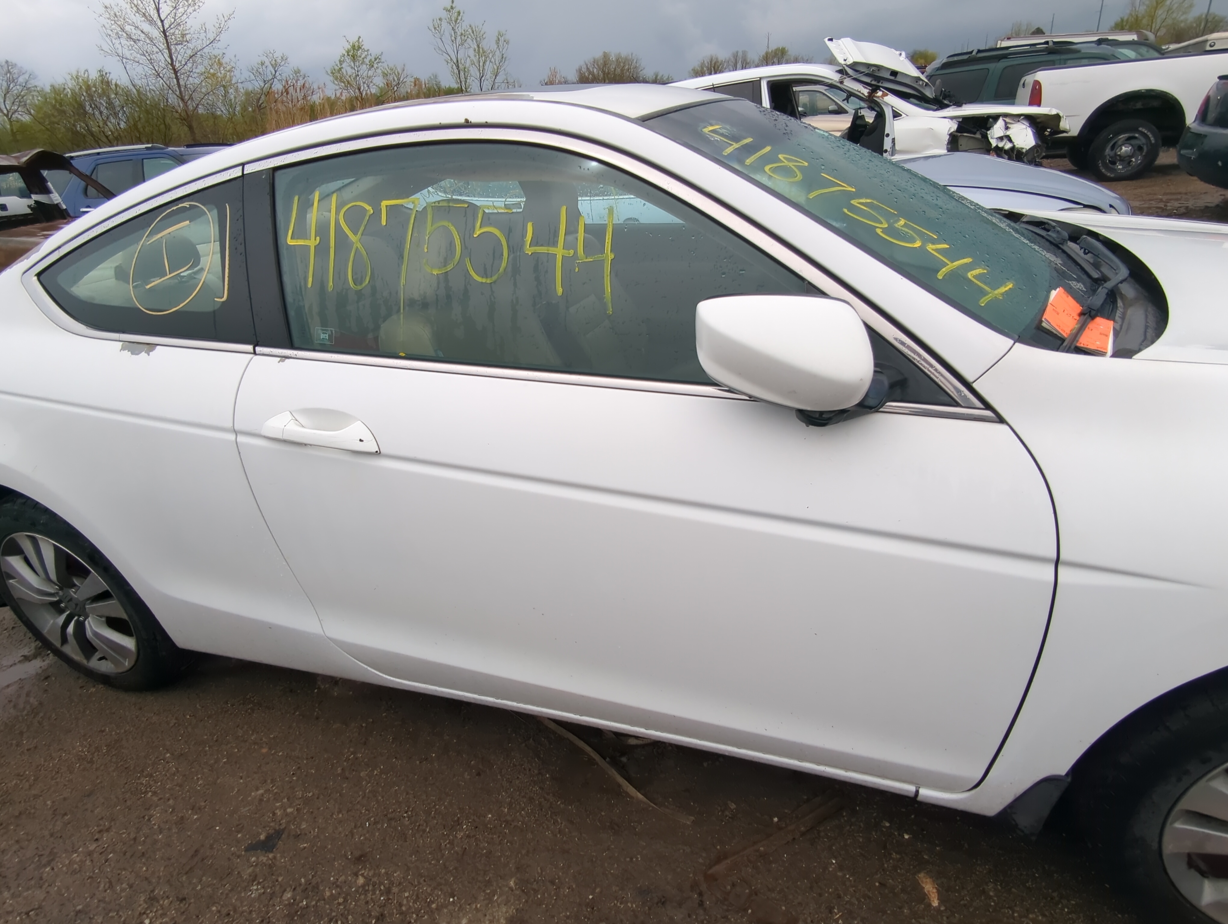 Picture of 2008-2012 Honda Accord Passenger Front Door Oem 882102