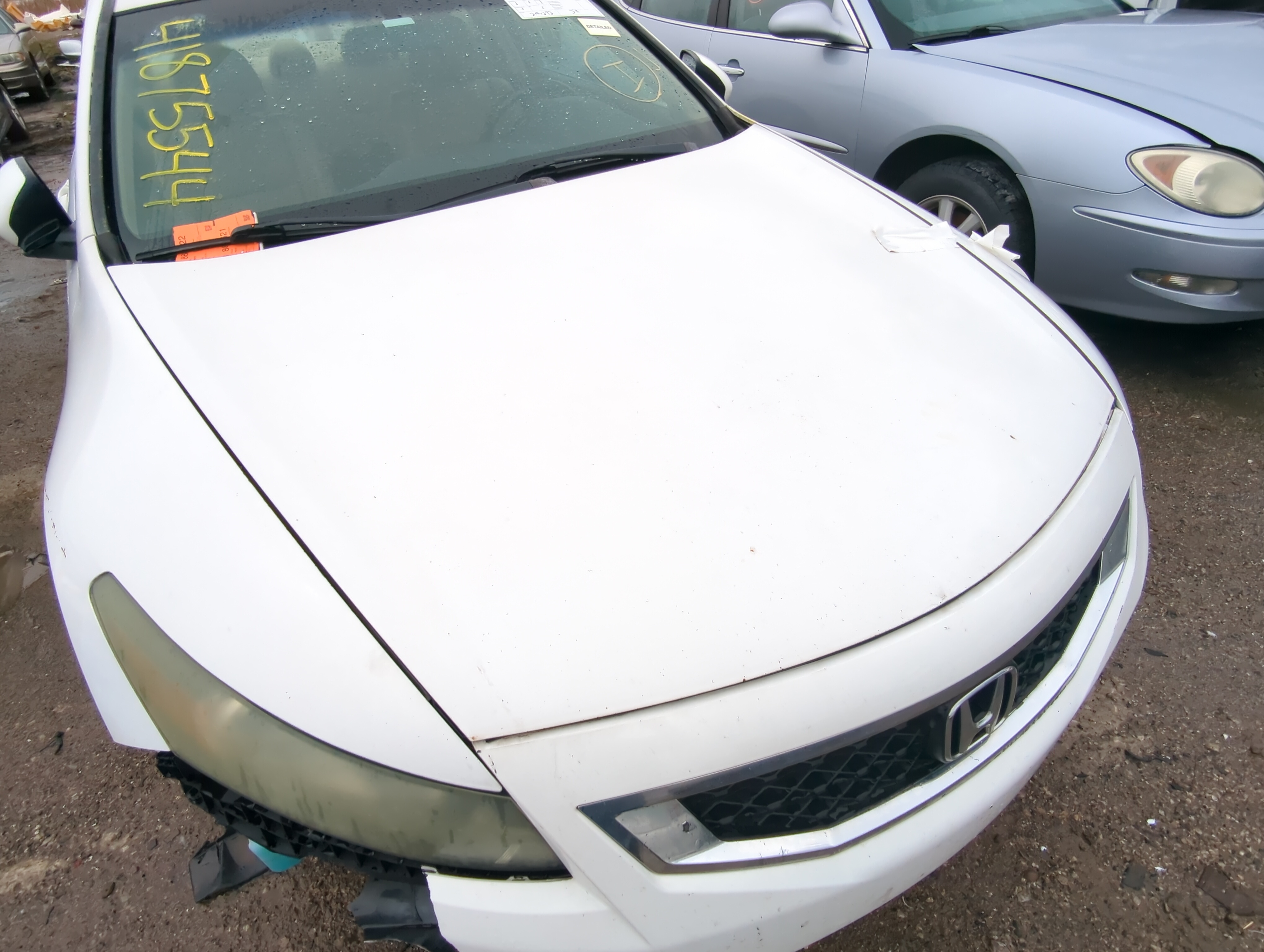 2008-2012 Honda Accord Hood Oem 882171 - Oemusedautoparts1.com