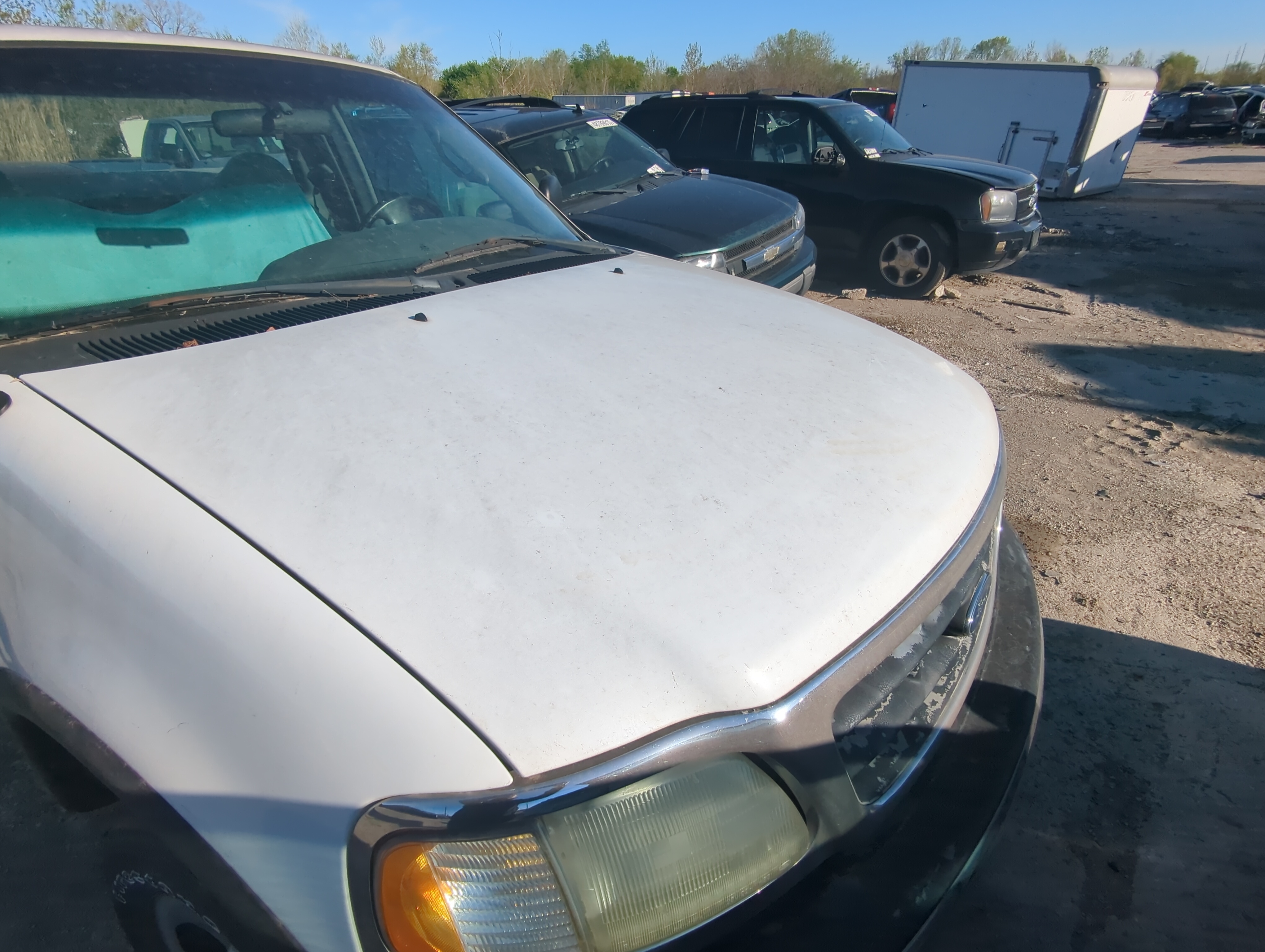 1999-2003 Ford F-150 Hood Oem 885634 - Oemusedautoparts1.com