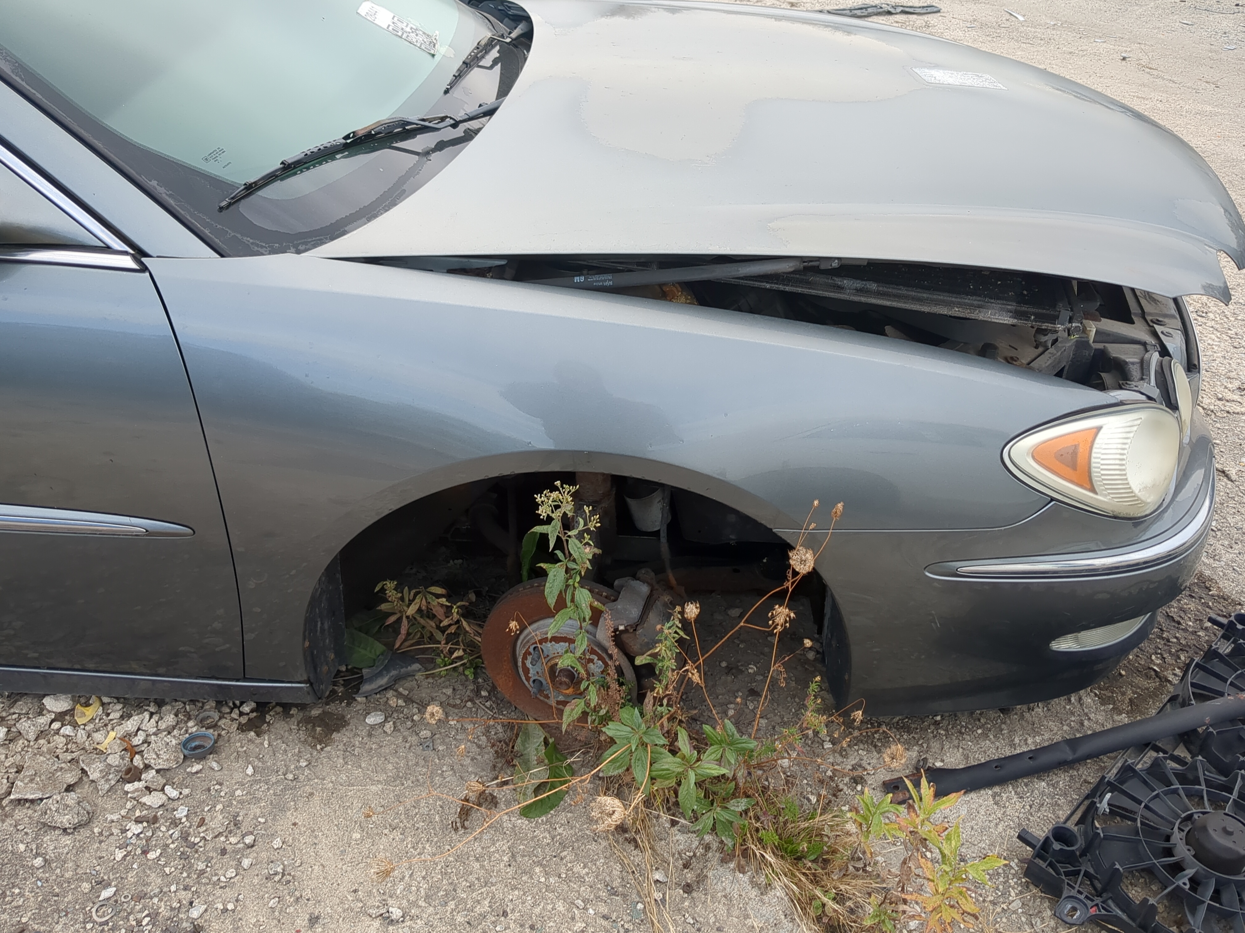 Picture of 2005-2009 Buick Lacrosse Passenger Fender 893623