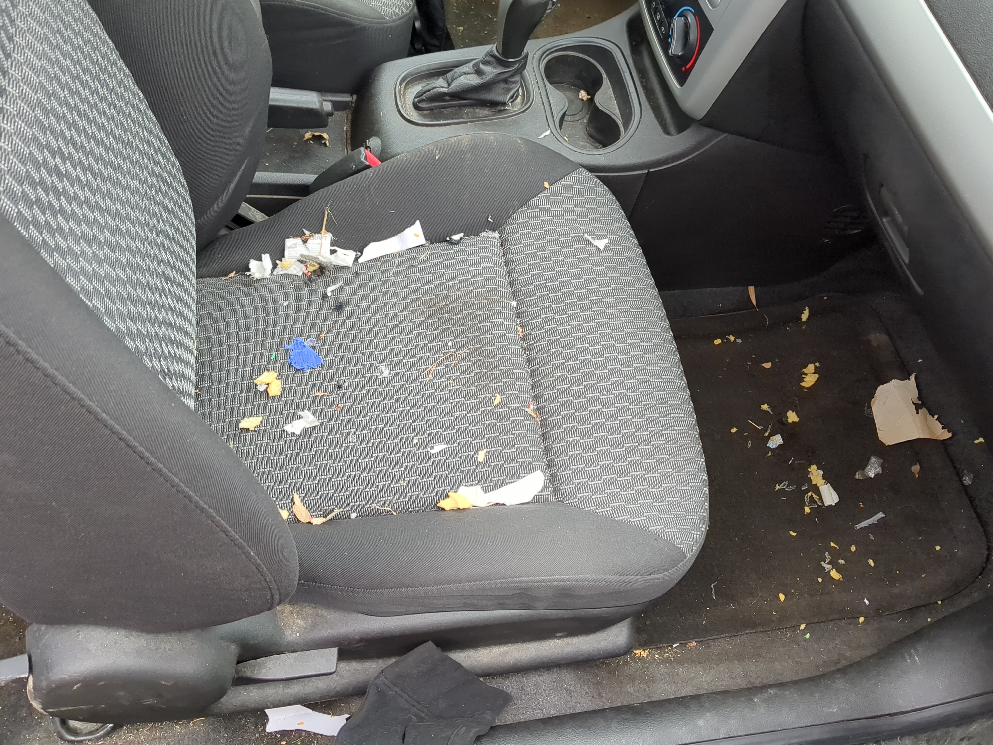 2010-2010 Chevrolet Cobalt Passenger Front Seat Oem 894706 - Oemusedautoparts1.com