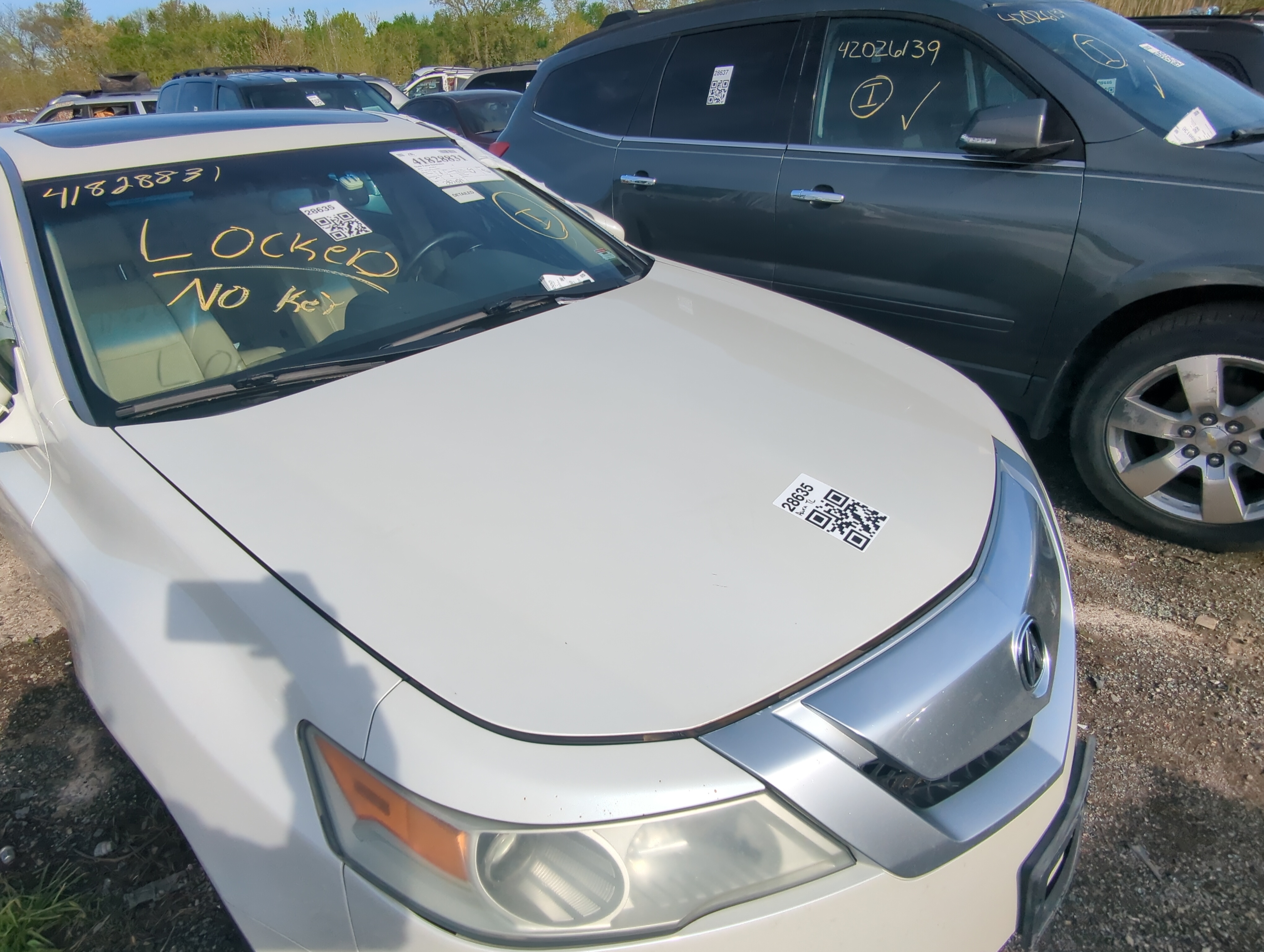 2009-2014 Acura Tl Hood Oem 898706 - Oemusedautoparts1.com