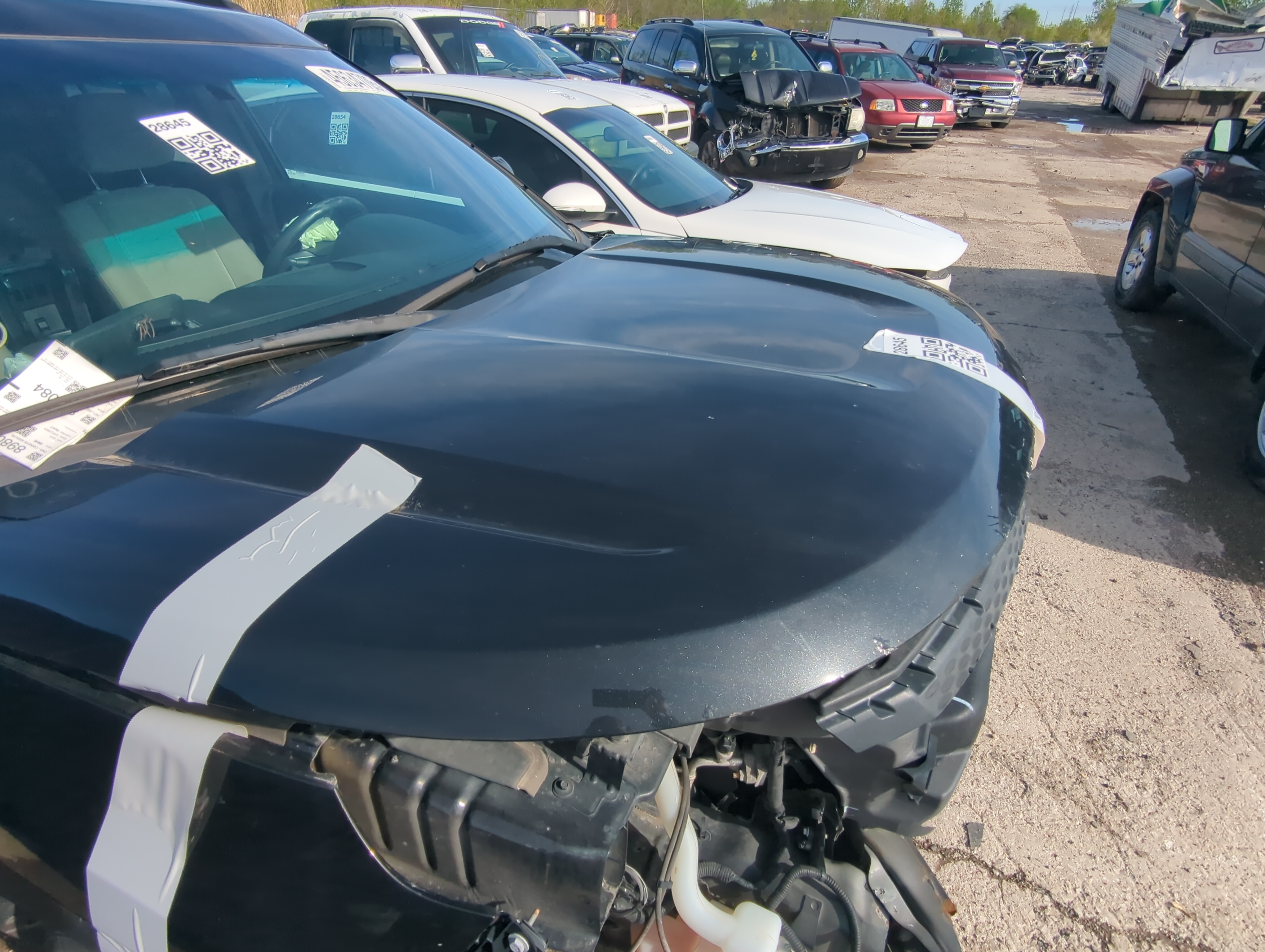 2011-2015 Ford Explorer Hood Oem 899014 - Oemusedautoparts1.com