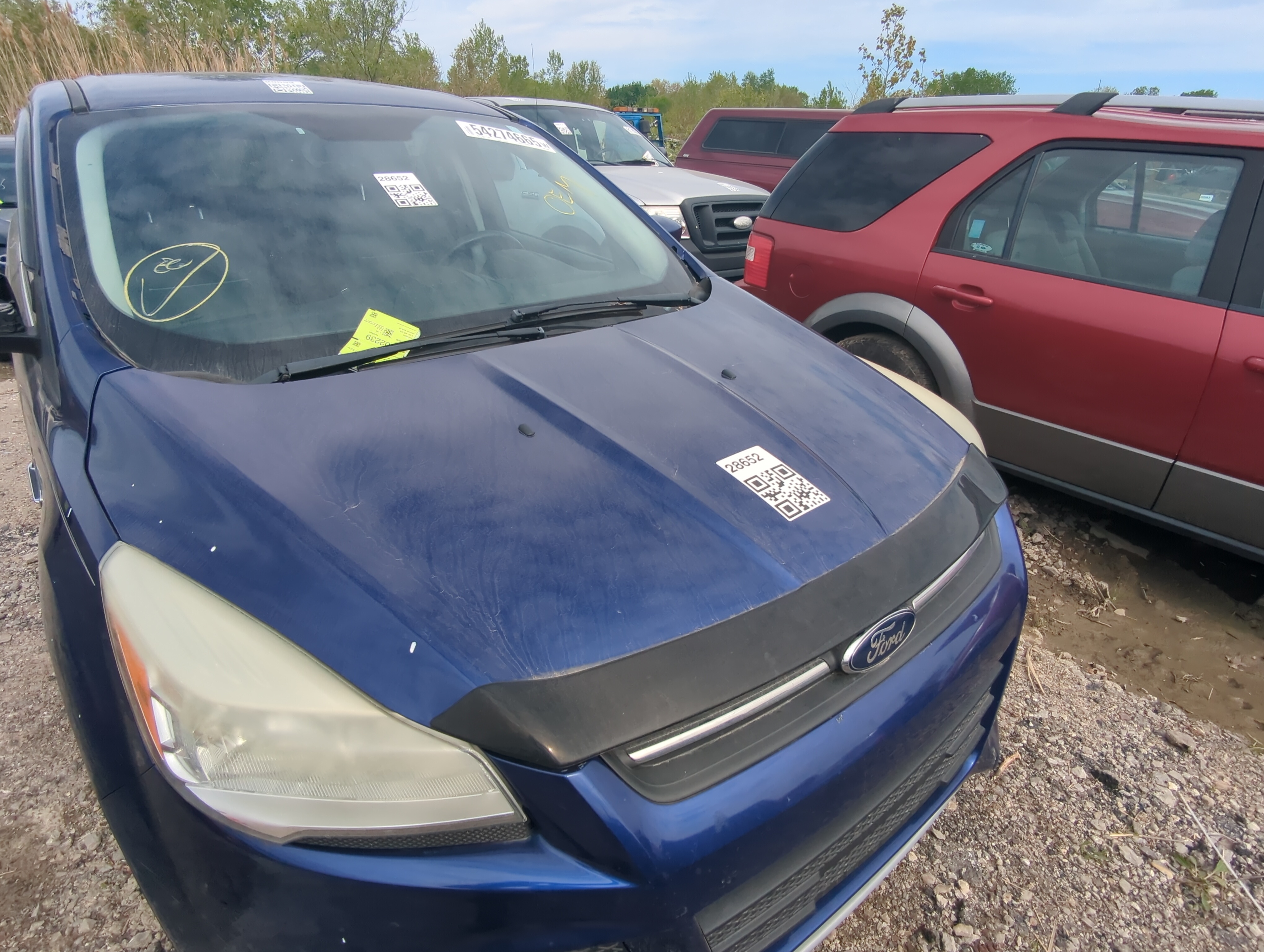 2013-2016 Ford Escape Hood Oem 907407 - Oemusedautoparts1.com