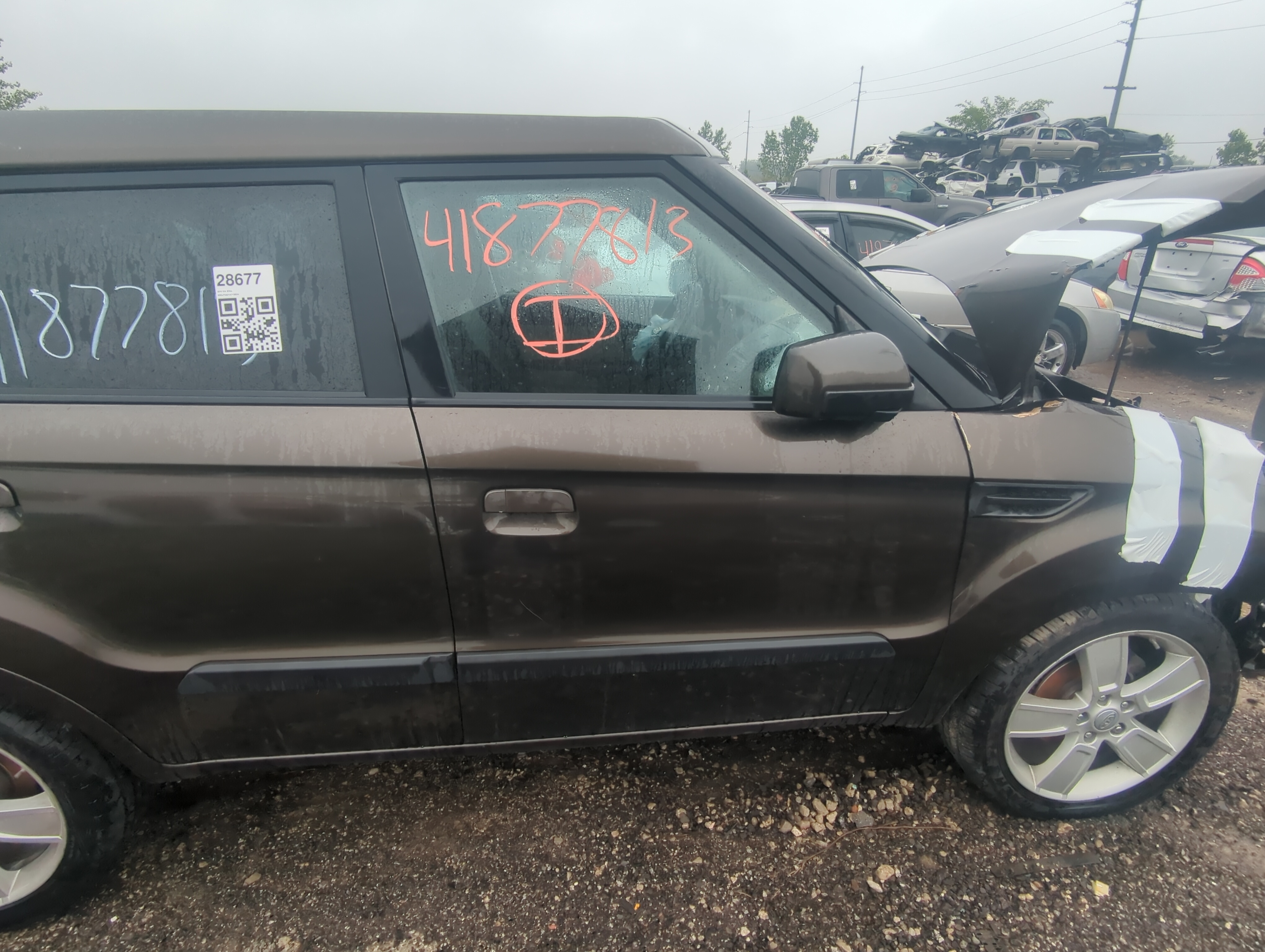 2010-2011 Kia Soul Passenger Front Door Oem 919450 - Oemusedautoparts1.com