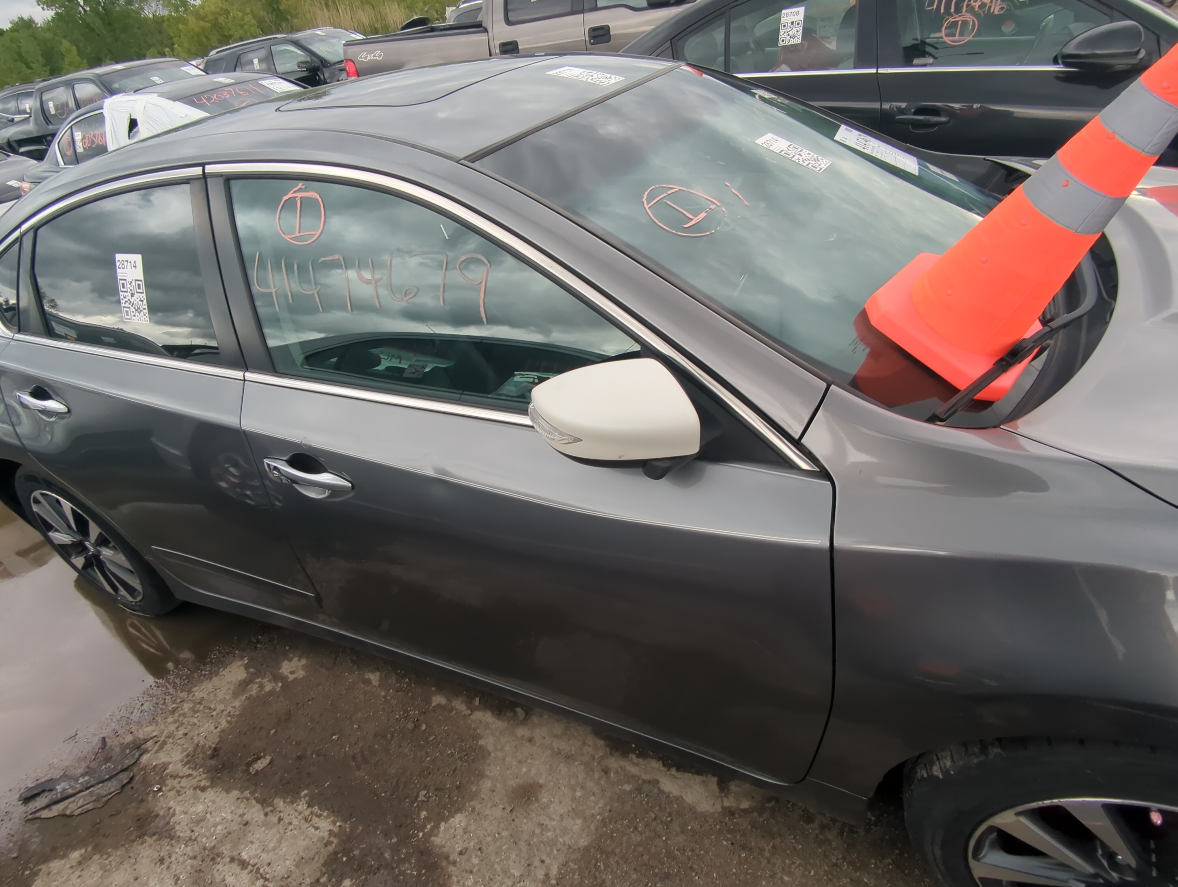 Picture of 2013-2018 Nissan Altima Passenger Front Door Oem 920928