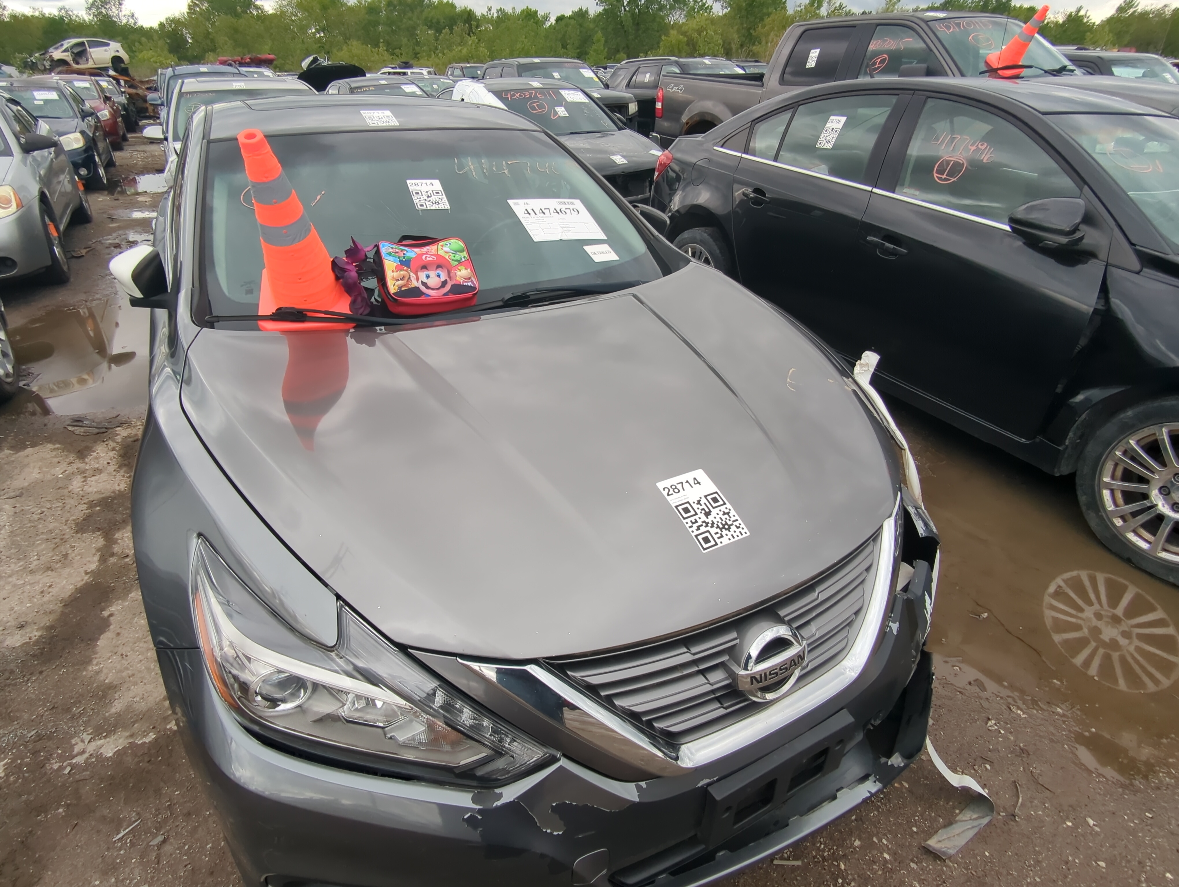 2016-2018 Nissan Altima Hood Oem 920967 - Oemusedautoparts1.com