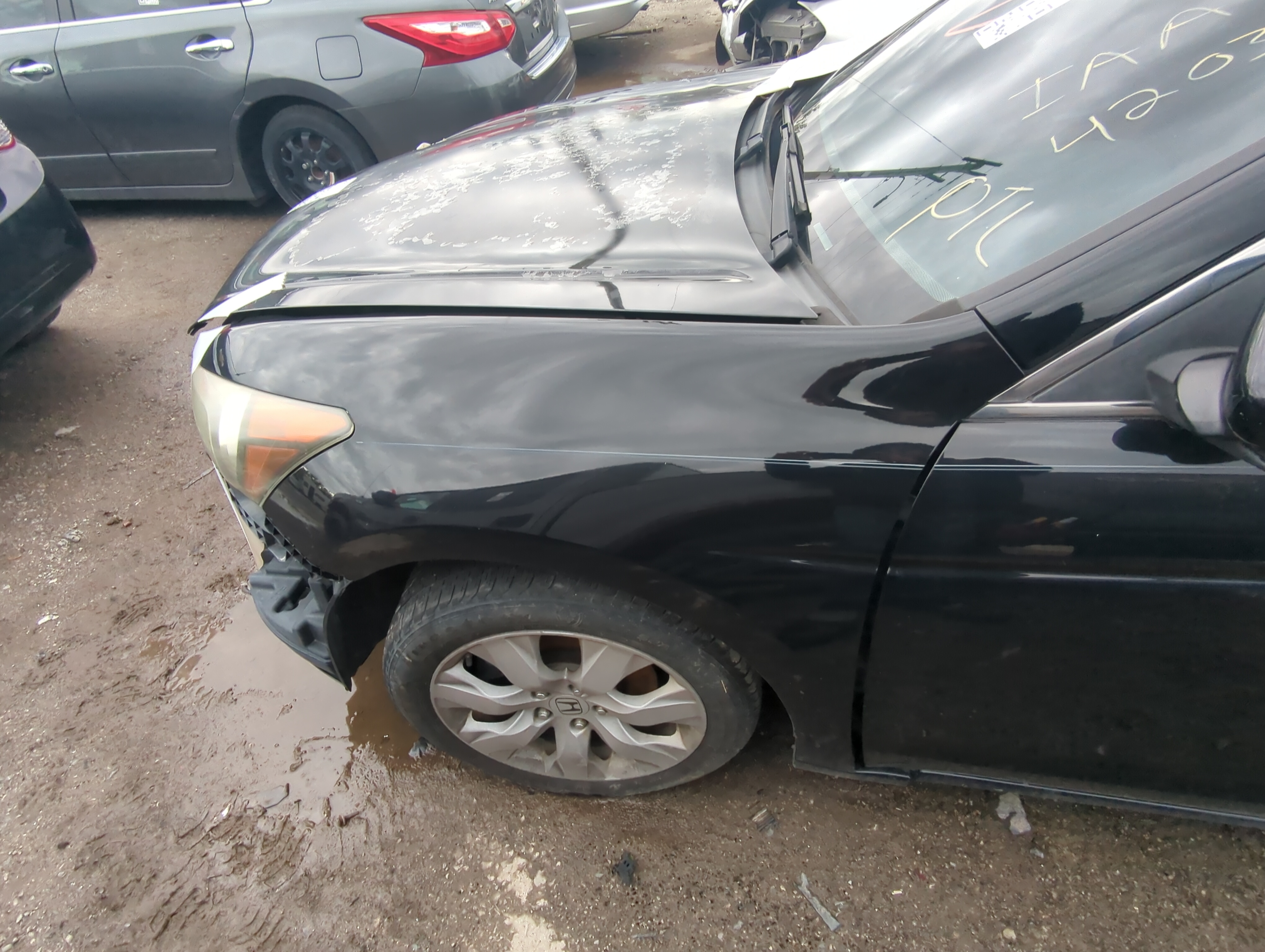 Picture of 2008-2012 Honda Accord Driver Fender 921621