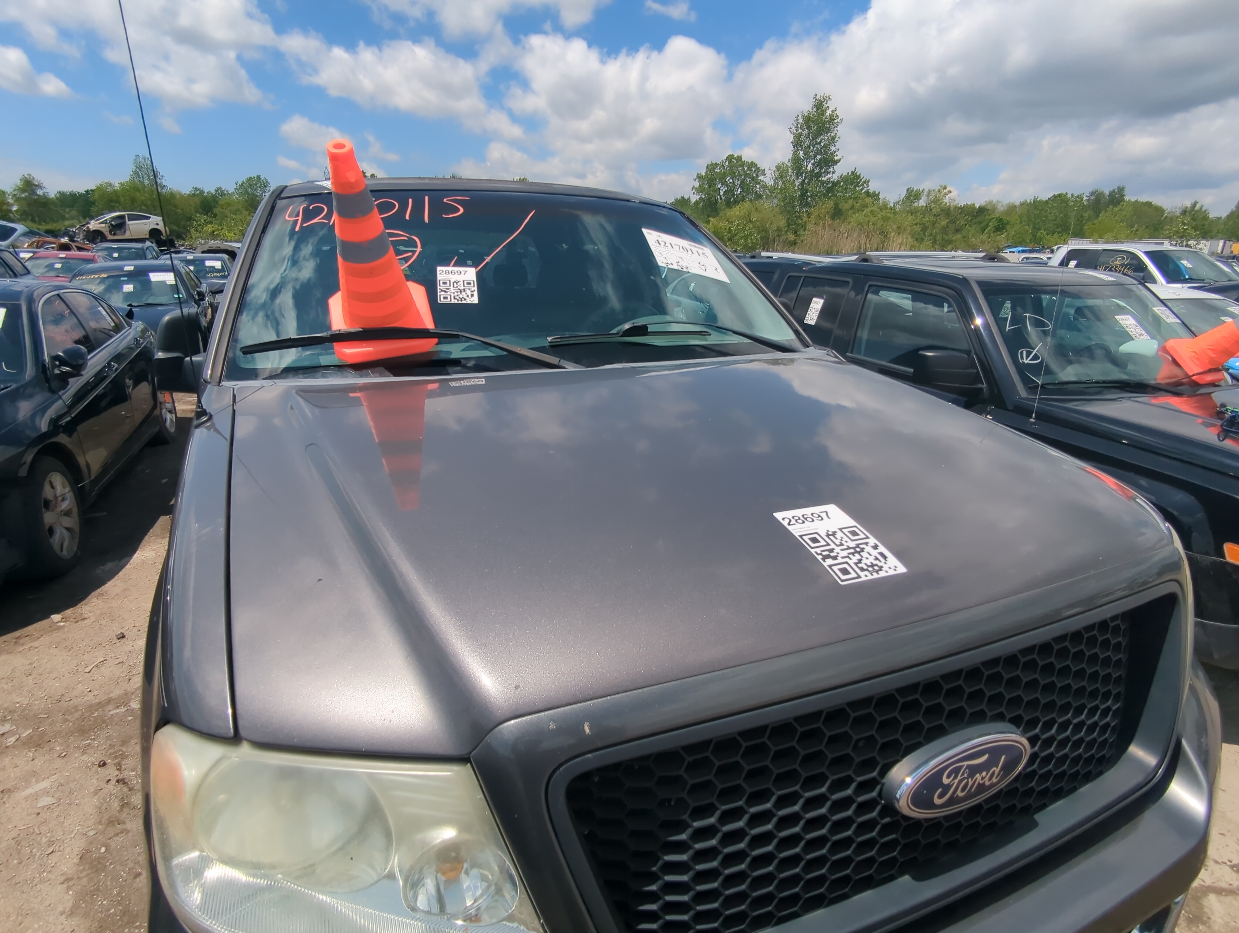 2004-2008 Ford F-150 Hood Oem 923409 - Oemusedautoparts1.com