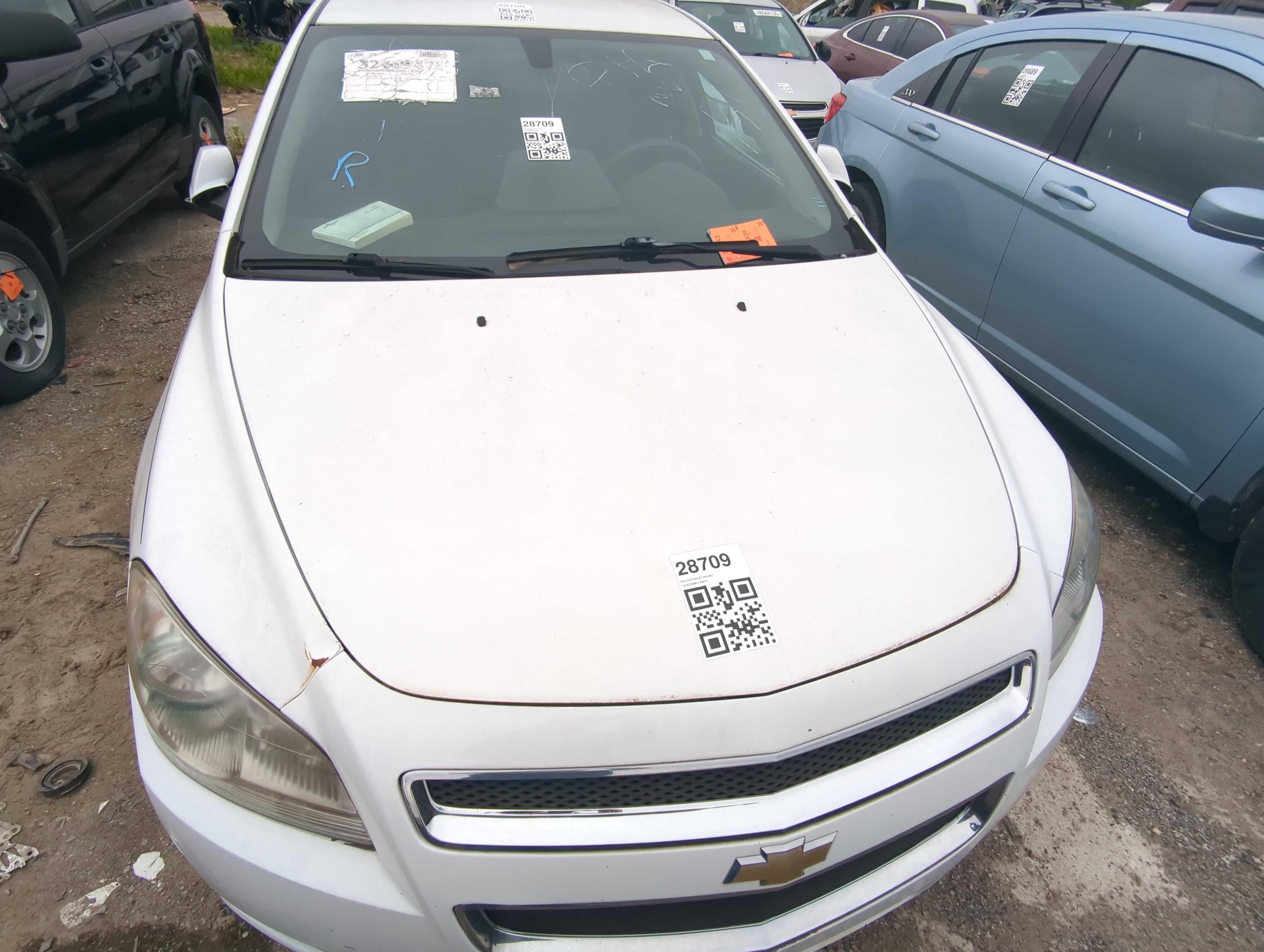 Picture of 2008-2012 Chevrolet Malibu Hood Oem 925831