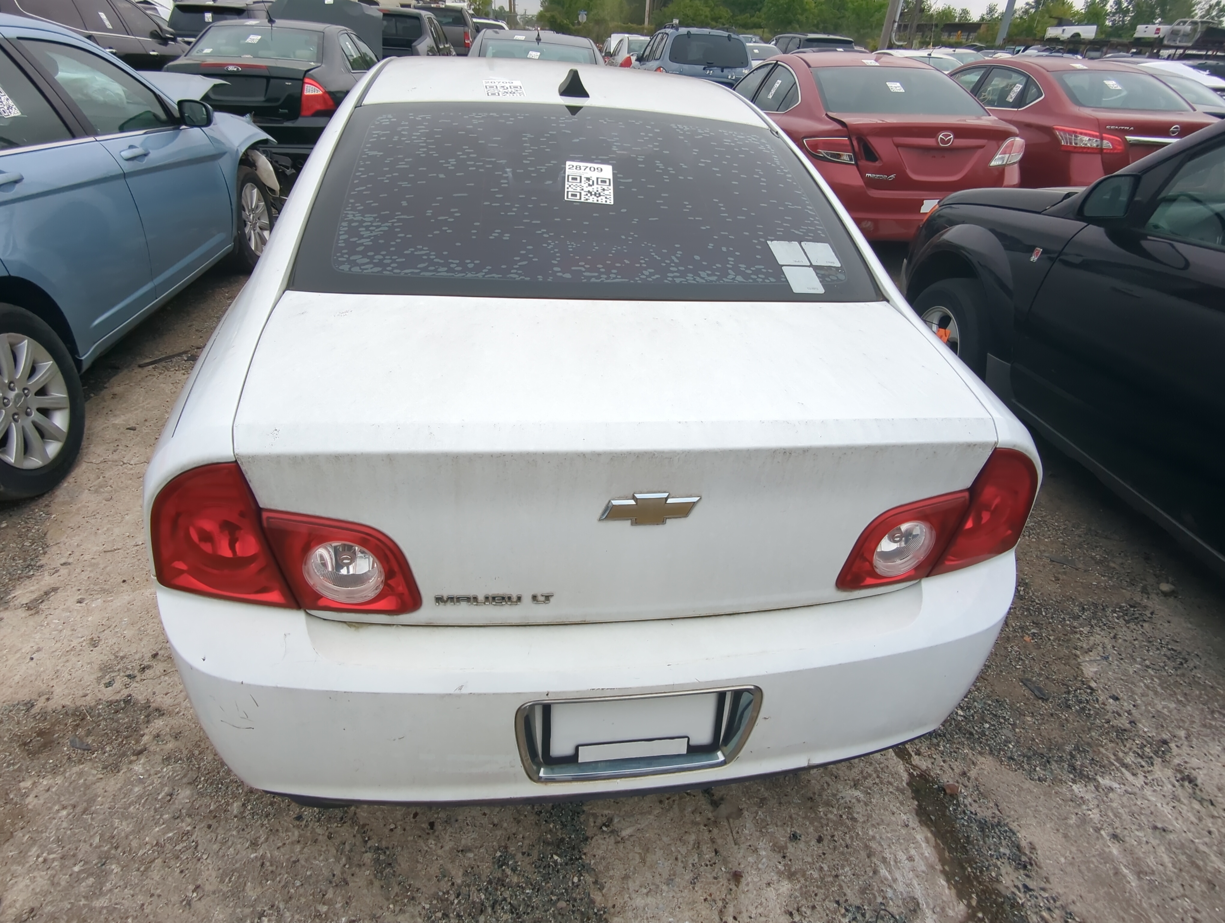 Picture of 2008-2012 Chevrolet Malibu Trunk/decklid/hatch/tailgate Oem 925842